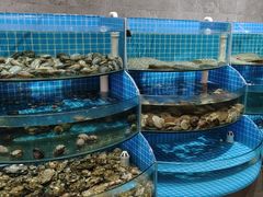 -蓝珊甄选海鲜自助·火锅大排档(近阿那亚店)
