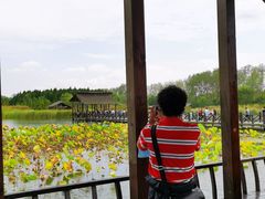 -溱湖国家湿地公园