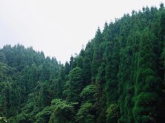 -龙苍沟森林公园