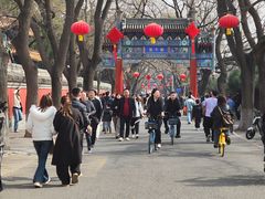 -北京国子监胡同