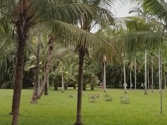 -中国科学院西双版纳热带植物园