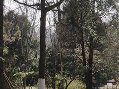 -汇泉广场