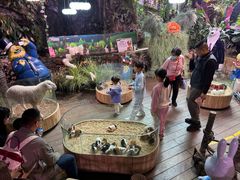 -正佳雨林生态植物园