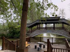 -合肥滨湖国家森林公园