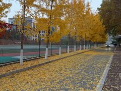 -回龙观体育文化公园