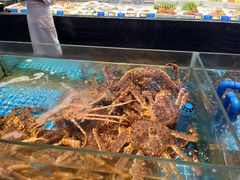 -望海湾鱼头泡饼·天津菜(空港店)