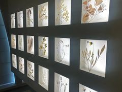 -予厘·推拿按摩·精油SPA(憩舍长安店)