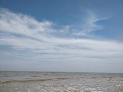 -日照海滨国家森林公园