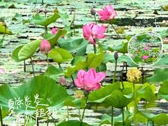 -长广溪湿地公园