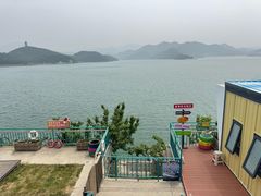 -望湖烤鱼