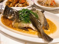 -强记海鲜·大排档(蛇口新街店)