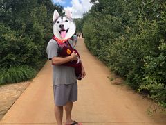 -长虫山生态公园风景林