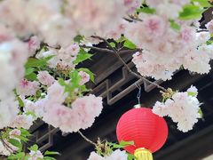 -雨花胜境