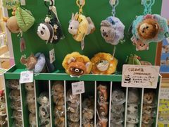 -猫的天空之城概念书店(印象城购物中心店)