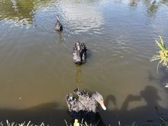 -阳光高尔夫俱乐部