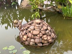 -深圳仙湖植物园