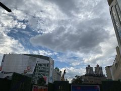 -蔼若春.传承三十年云南菜(金碧公园店)