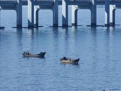 -星海湾跨海大桥