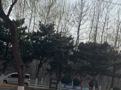 -北戴河转鱼·炒螃蟹酱餐厅