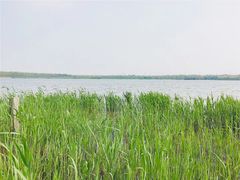 -西青郊野公园