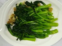 生炒广东菜心-古南都·老广东酒楼(龙江店)