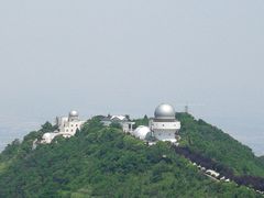 -福顺祥大盘鸡(临潼店)