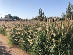 -汉长安城未央宫国家考古遗址公园