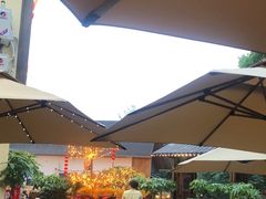 -后湖小院·乡野田园菜