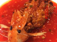 -丁老爷子苏香圆