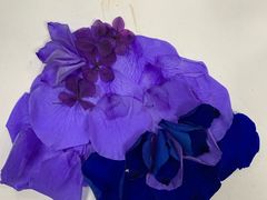 -鼎画艺术机构(贵都店)