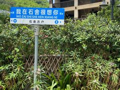 -石舍洒秀咖啡馆