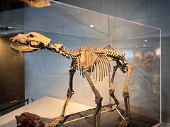 -北京周口店北京人遗址博物馆