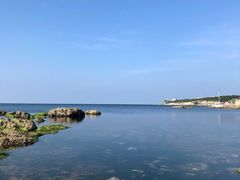 -海岛日记(养马岛店)