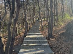 -南京市无想山景区