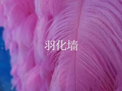 -深圳独角兽星空艺术馆