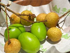 -季季山·云南野生菌火锅(上海首店)