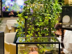 -théATRE茶聚场·餐厅(环球金融中心店)