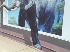 -四川火锅
