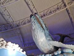-烟台海昌鲸鲨海洋公园