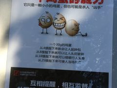 -南方医科大学深圳医院
