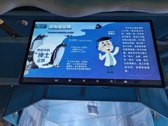-海合安青岛极地海洋公园