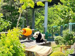 -大连森林动物园