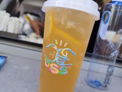 -菠萝格斗巴西柔术训练馆