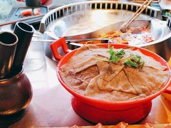 -辣伍鲜毛肚老火锅(元一店)