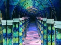 -天津梵高星空艺术馆(天河城旗舰店)
