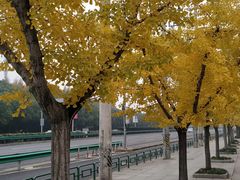 -浦江城市生活广场(江月路店)