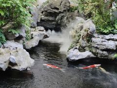 -鲤院·新中式美学·庭院餐厅(夫子庙店)