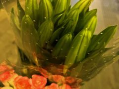 -循礼门鲜花花市(武汉循礼门店)