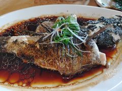 清蒸石头鱼-七仙岭君澜度假酒店·桃源小馆中餐厅