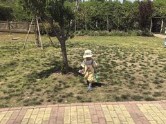 -同里国家湿地公园